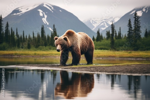  a large brown bear standing on top of a grass covered field next to a body of water with mountains in the background.