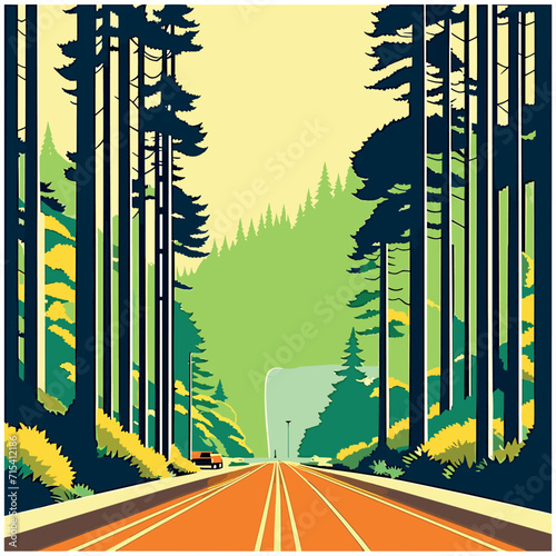 Scenic road in Redwood National Forest 