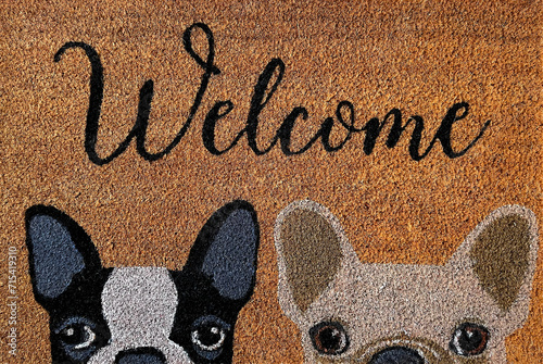 Photography Conceptual image of a welcome door mat with two cute dogs and lettering ''welcome''