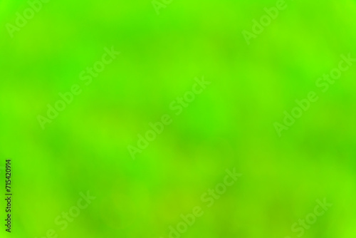 Defocused and blurred background. Green bokeh