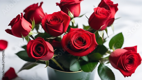 Bouquet of beautiful red roses on white background  birthday greeting  valentine s day  march 8