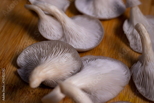 Selective focus on Oyster Mushroom on wooden board