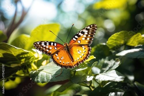 a large orange butterfly sitting on top of a green leafy plant with sunlight shining on it's wings.