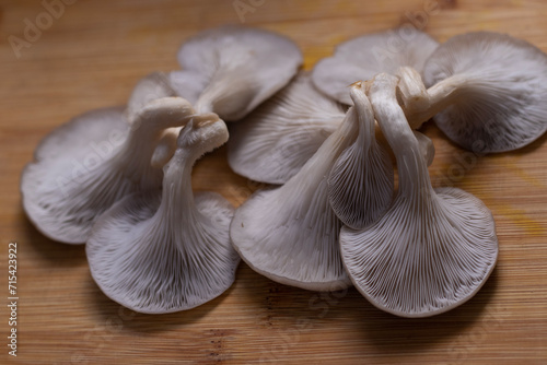 Selective focus on Oyster Mushroom on wooden board