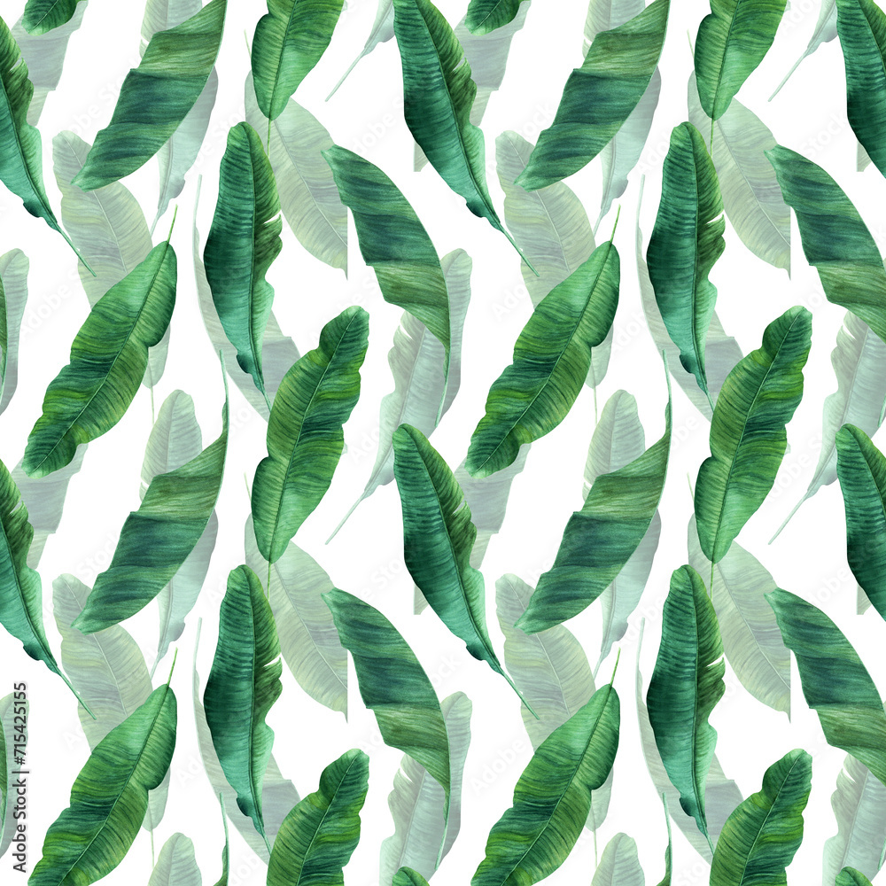 Watercolor seamless pattern with banana tree leaves. Hand drawn illustration isolated on white background. For wrapping wallpaper fabric textile.