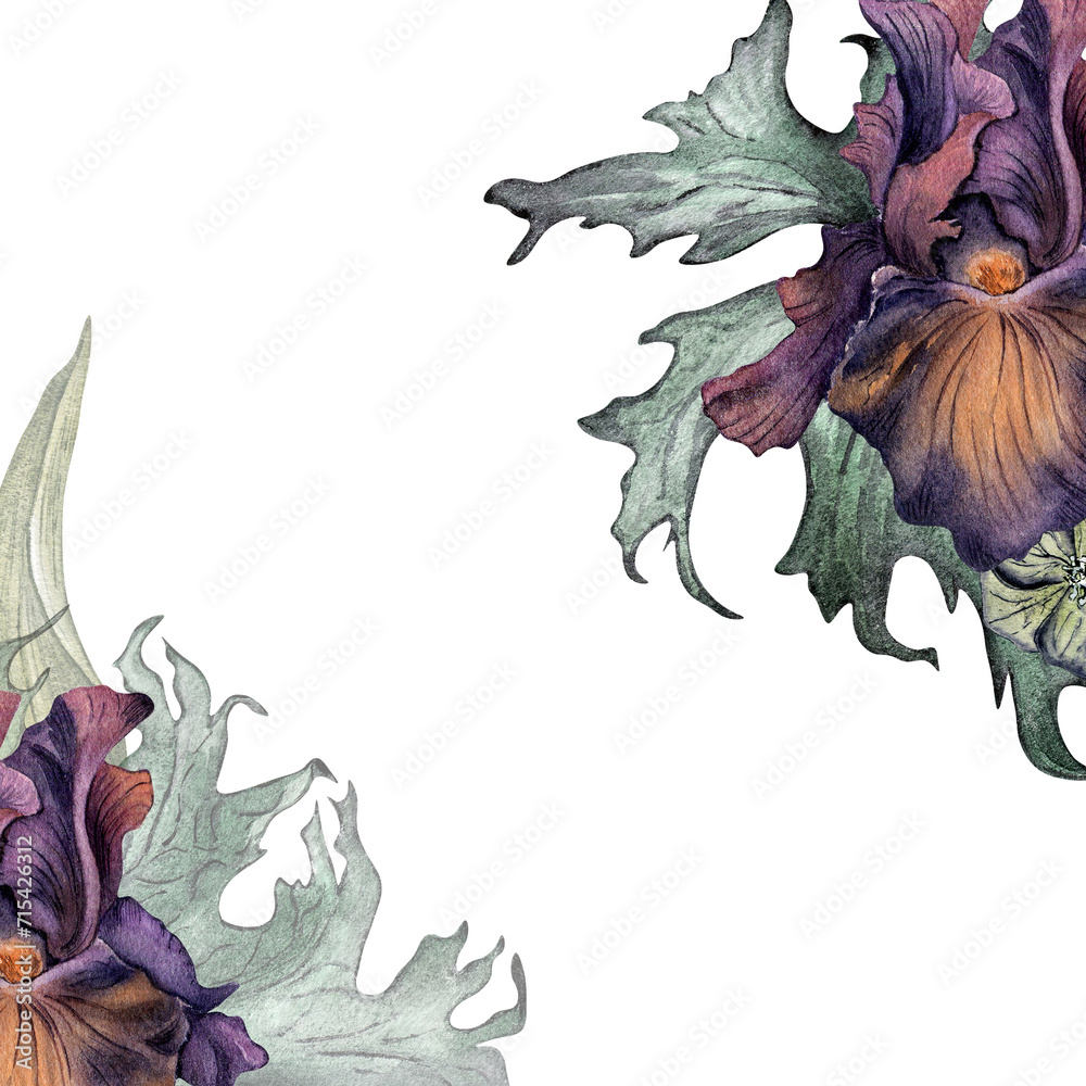Watercolor purple Iris flower and leaves isolated on white. Gothic floral Illustration hand drawn. Dark botanical wedding decoration in vintage style. Element for invitation, package, card, printing Watercolor purple Iris flower and leaves isolated on white. Gothic floral Illustration hand drawn. Dark botanical wedding decoration in vintage style. Element for invitation, package, card, printing