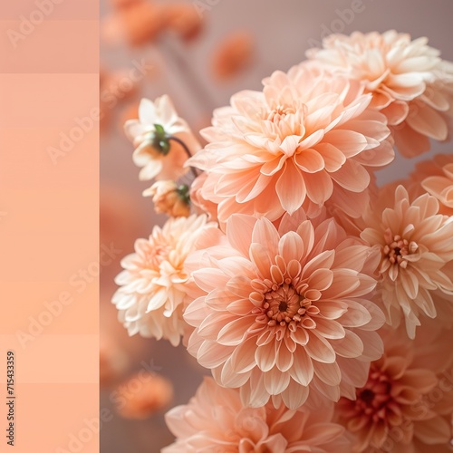 Abstract minimalist peach fuzz pantone color decor inspiration. Charming style, pink elements. Boho yet modern. Great as poster design, frame decoration, web design. Soft shapes, lines and colors.