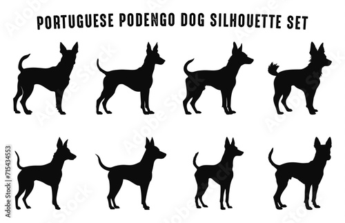 Portuguese Podengo Dog Silhouettes vector Set, Dogs breed Black Silhouette Bundle photo