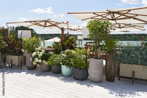 Beautiful outdoor flowers in large planter pots on the patio