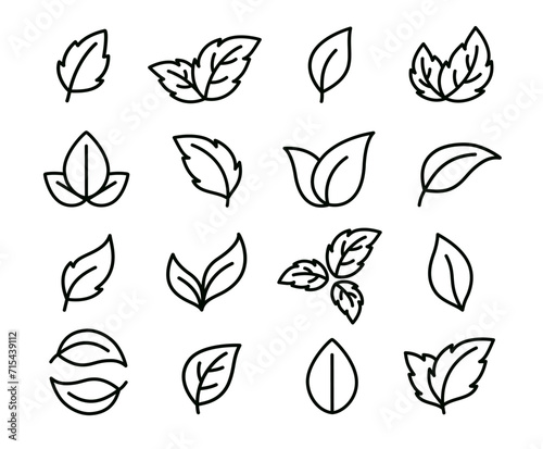 twigs, branches and sprig with leaves line