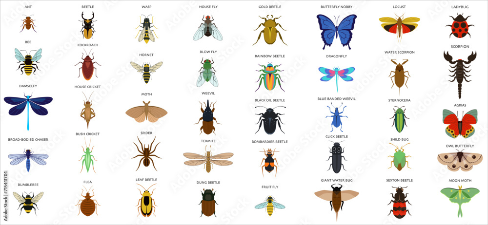 Set of insects flat style design icons - obrazy, fototapety, plakaty 