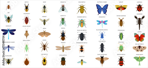 Set of insects flat style design icons photo