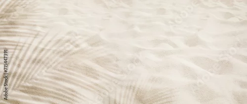Fototapeta samoprzylepna Selective focus of summer and holiday  backgrounds concepts with shadow of coconut leaf on clean sand beach