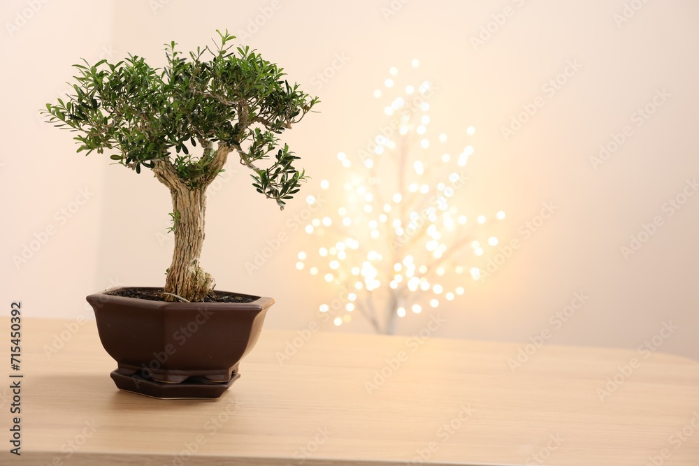 Beautiful bonsai tree in pot on wooden table, space for text Beautiful bonsai tree in pot on wooden table, space for text