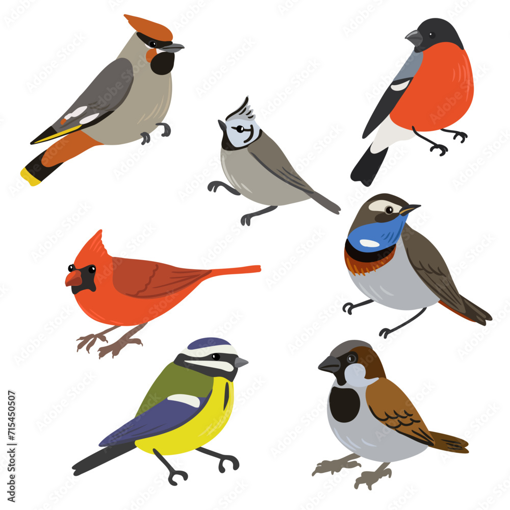 Obraz premium vector drawing set of birds, isolated nature design elements, hand drawn illustration