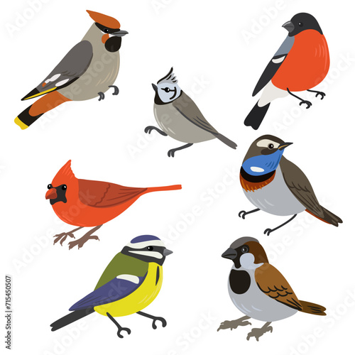 vector drawing set of birds, isolated nature design elements, hand drawn illustration