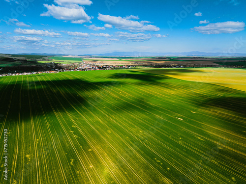 Aerial view of green summer farm fields, crops or pasture with during summer day. photo