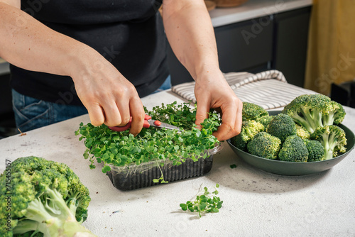 Woman cutting microgreens with scissor with broccoli at kitchen counter photo