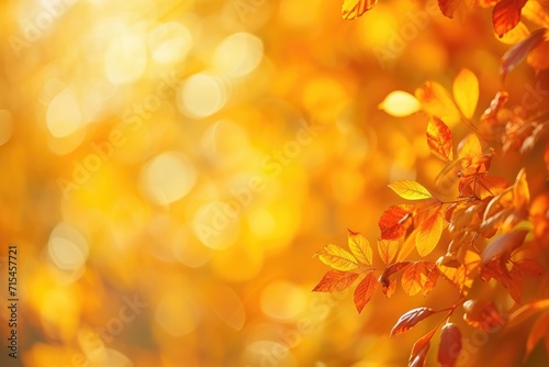 Abstract Autumn Bokeh Background with Bright Orange and Yellow Tones