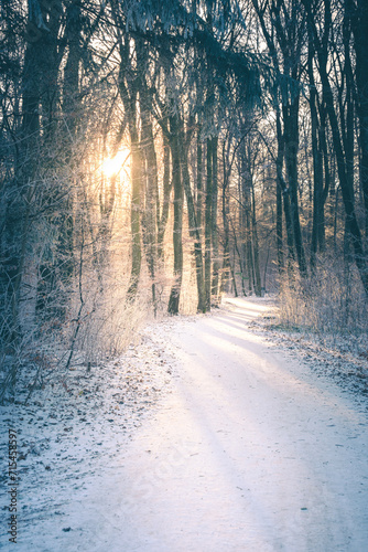 Waldweg im Winter auf der Schwäbischen Alb