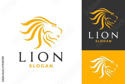 Vector Lion Head Abstract Line Logo Design