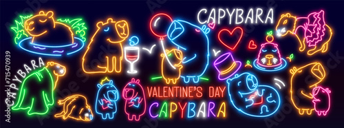 Valentine Day card set with cute lovely capybara