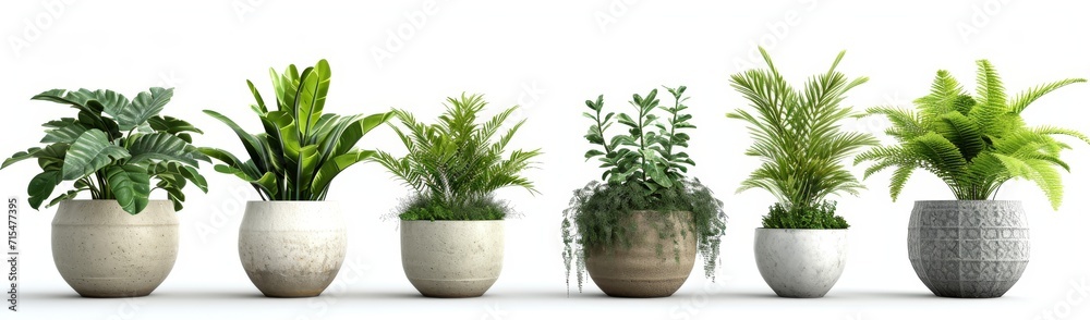 Obraz premium flower pot on a white background