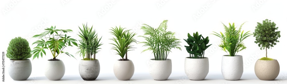 flower pot on a white background flower pot on a white background
