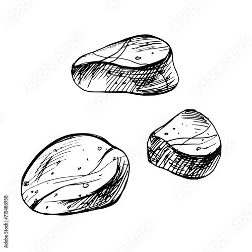 Underwater world clipart with Sea, river, lake pebbles. Graphic illustration hand drawn in black ink. Set of isolated objects EPS vector.