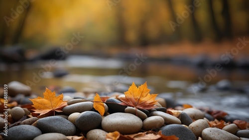 autumn leaves on the rocks riverbank