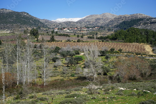 Golan Heights