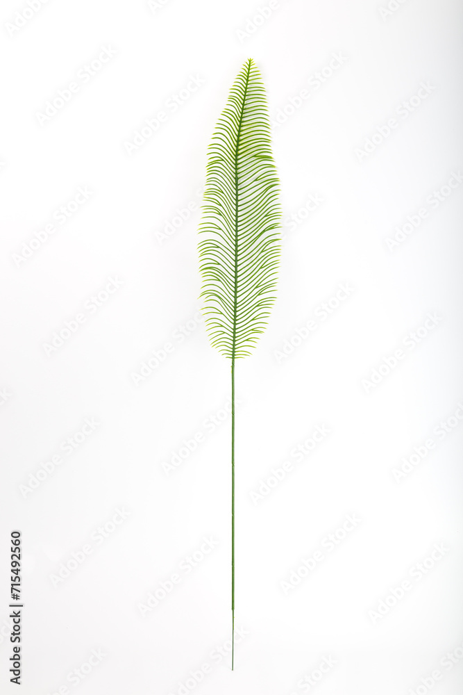 Beautiful artificial palm branch Beautiful artificial palm branch