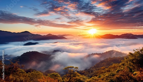 View of the sea of clouds from the top of the mountain peak. Tropical rainforest with vibrant morning reflection of the sunrise. © Virgo Studio Maple