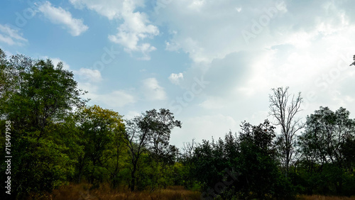 nature background photoshoot without filters © jagadeeshporipireddy