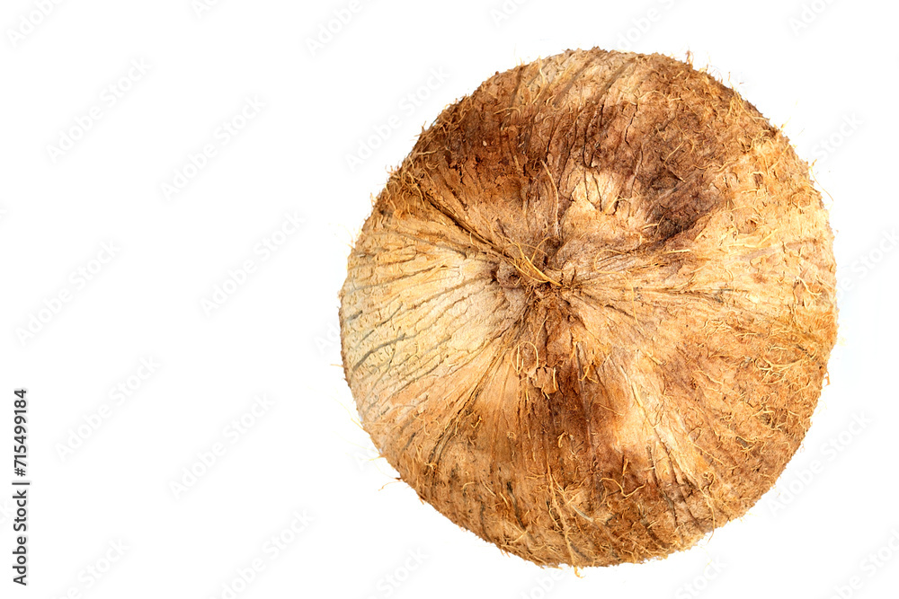 Whole coconut isolated on white background. Whole coconut isolated on white background.