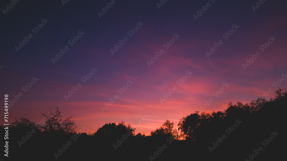 Vibrant sunset seen from the wild forest. Pastel colors in the evening sky. Cloud formations in abstract shapes