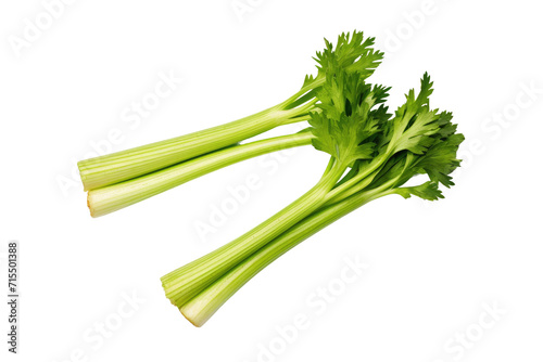 Fresh Celery Sticks Isolated On Transparent Background