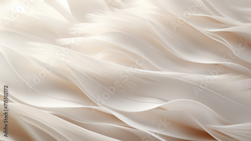 Beautiful fluffy white feather, abstract feather on white background. High resolution. Copy space for design and text. Pastel beige and white colors. High resolution.