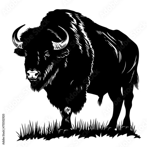 Silhouette buffalo full body black color only