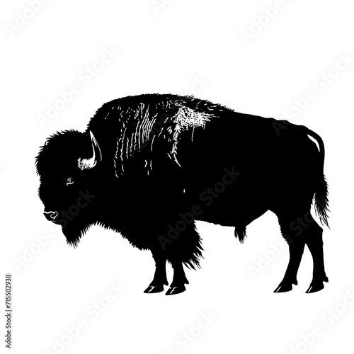 Silhouette buffalo full body black color only