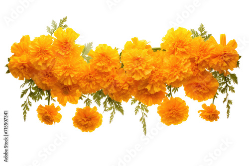 Radiant Marigold Flower Garlands in Full Bloom Isolated On Transparent Background