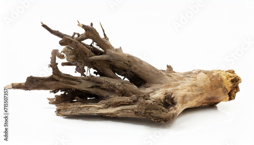 dead tree root isolated on white © Heaven