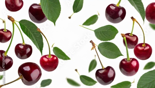 cherry isolated falling sour cherries with leaves on white background flying cherry