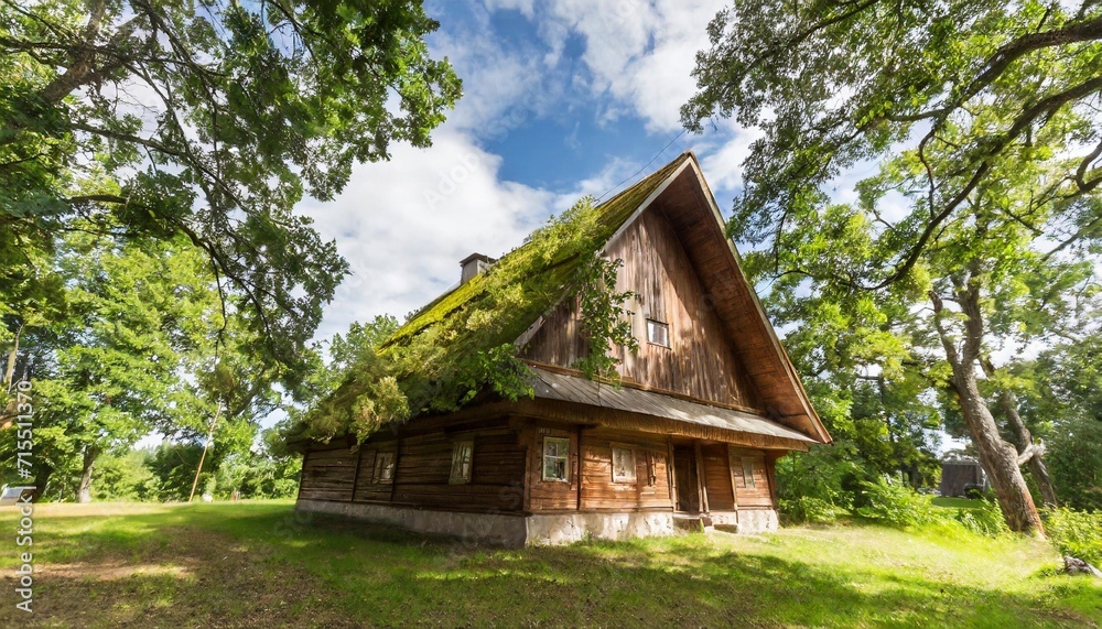 old wooden house covered with big trees