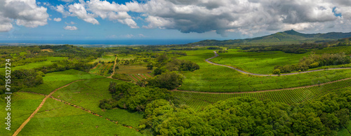 Aerial view of tea plantation near Bois Cheri Tea Factory, Mauritius photo