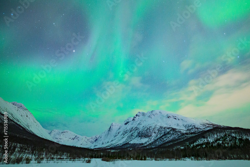The Northern Lights (Aurora Borealis) light up the sky in the winter night, Tromso, Norway,Scandinavia photo