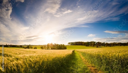 rural landscape with wheat field on sunset