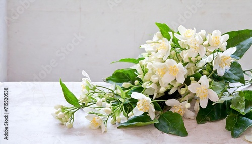 jasmine flowers bouquet with stem and leaves