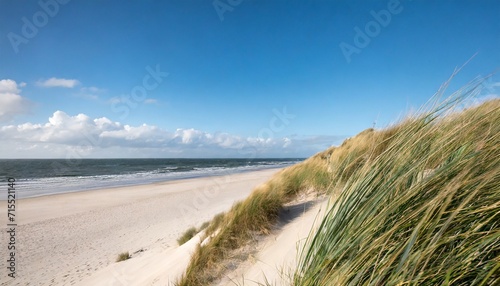 dune beach at the north sea coast sylt schleswig holstein germany