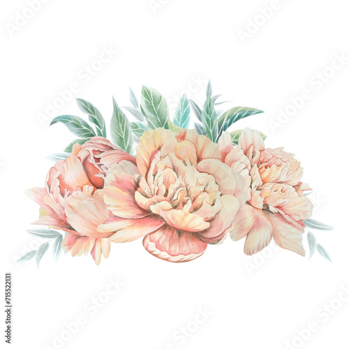 Watercolor flowers peonies, set of png, flower bouquet